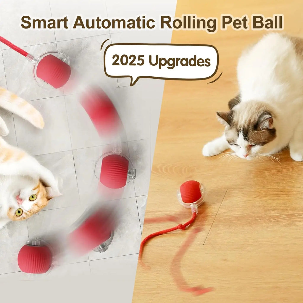 Pelota Interactiva para Gatos – Rodante Automática con Cola, Recargable, Juguete Inteligente
