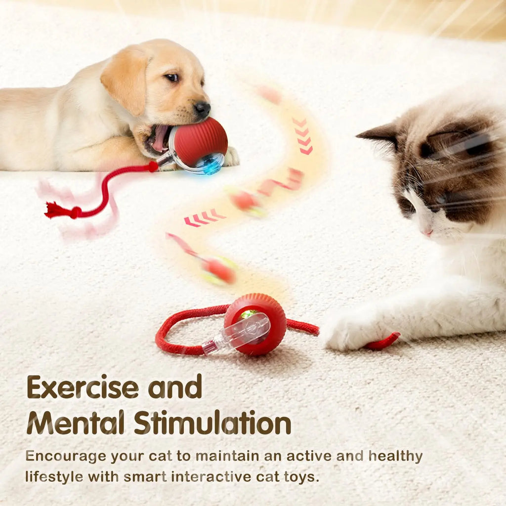 Pelota Interactiva para Gatos – Rodante Automática con Cola, Recargable, Juguete Inteligente
