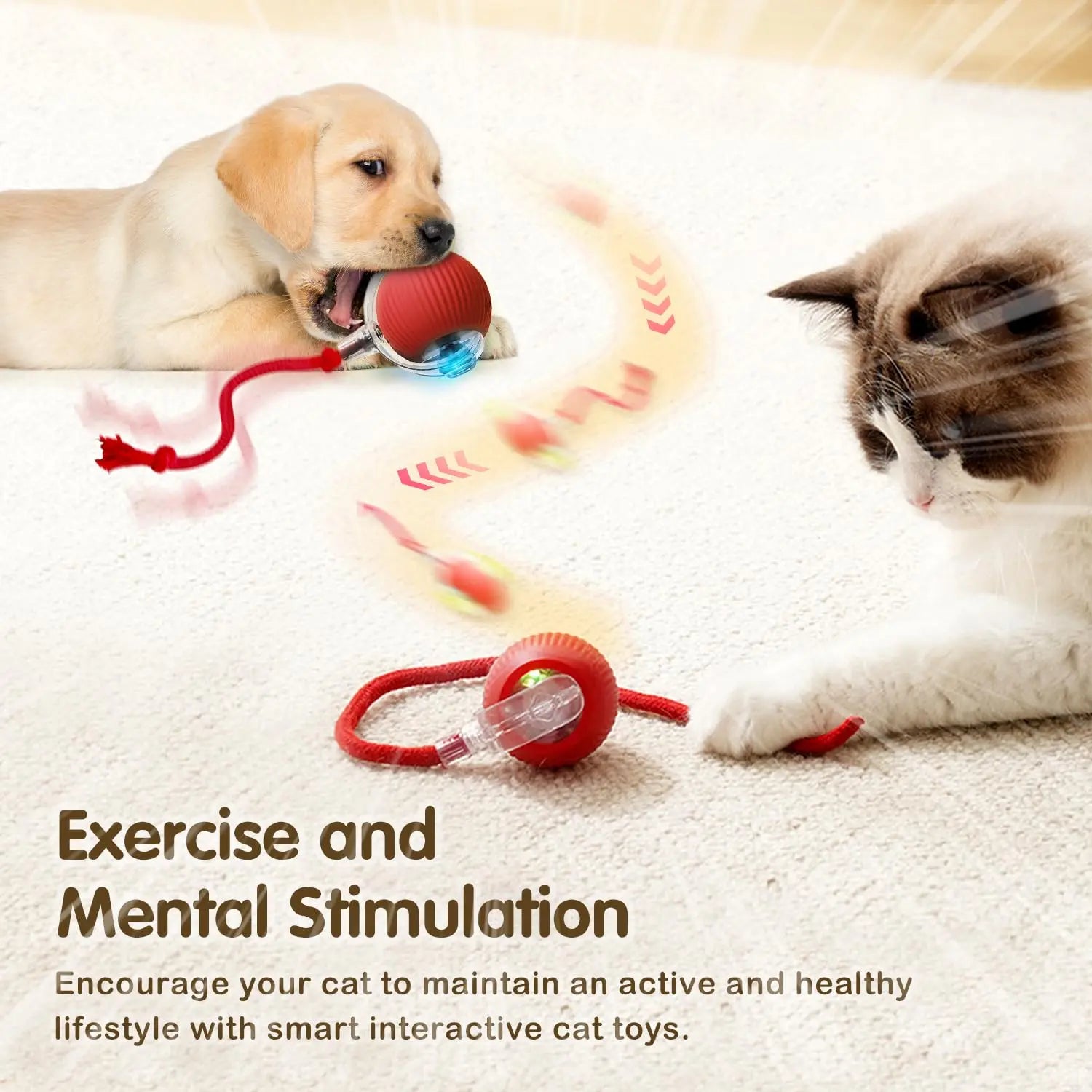 Pelota Interactiva para Gatos – Rodante Automática con Cola, Recargable, Juguete Inteligente